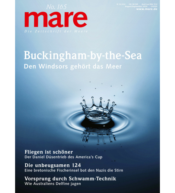 mare No. 165